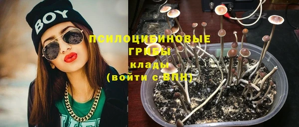 стаф Абаза