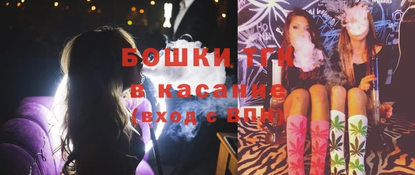 стаф Абаза