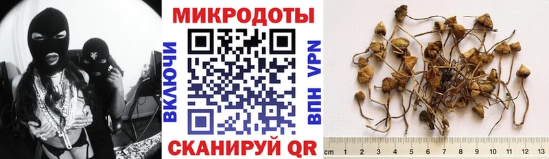 купить наркоту Задонск Псилоцибиновые грибы Psilocybine cubensis